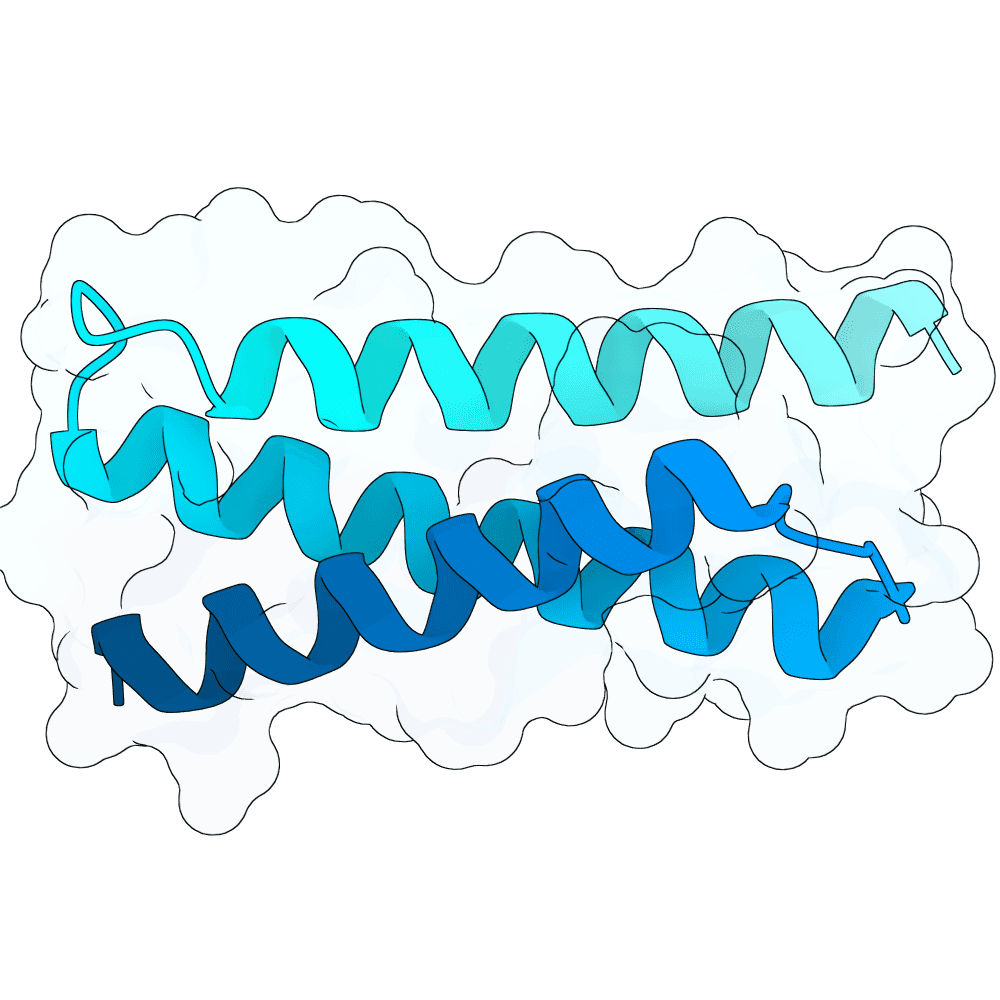 bright-panther-frost