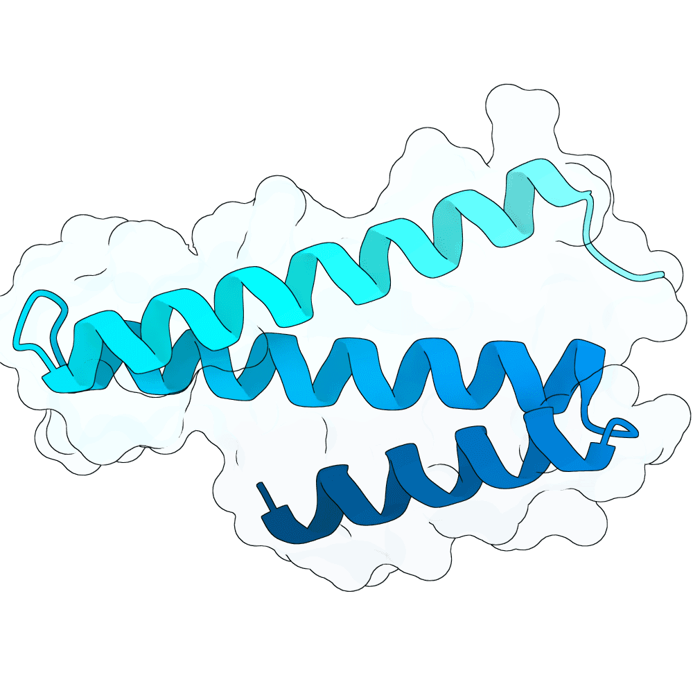 swift-jaguar-granite