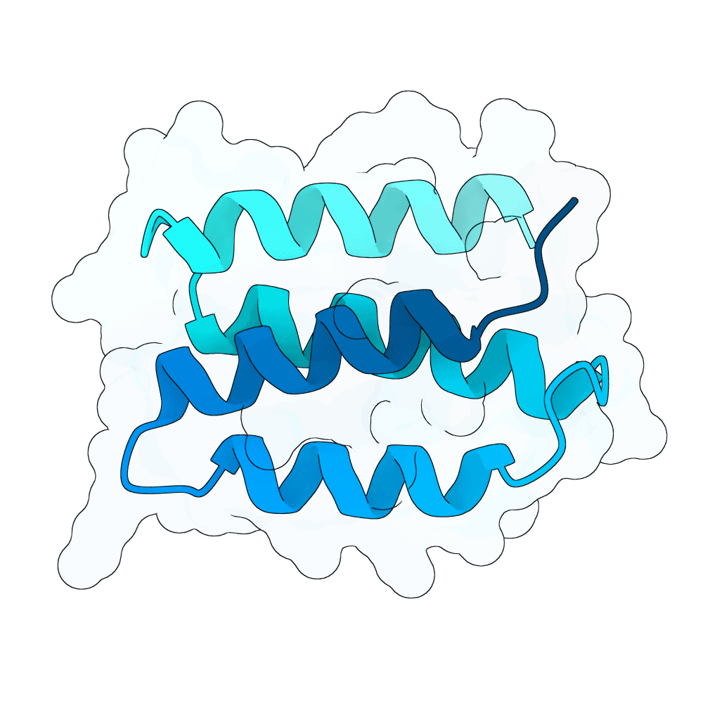 Protein preview steady-boar-stone