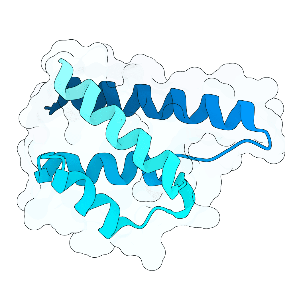Protein preview amber-ibis-clay