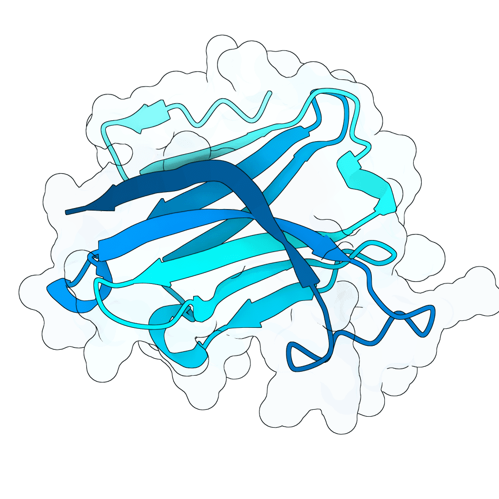 Protein preview misty-otter-pine