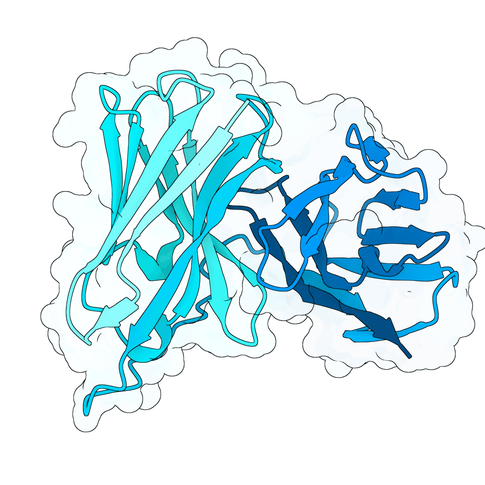 radiant-otter-marble