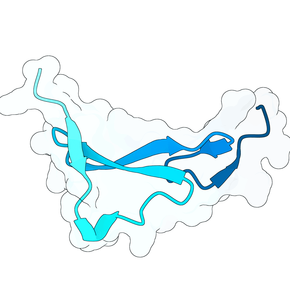 Protein preview steady-panther-rose