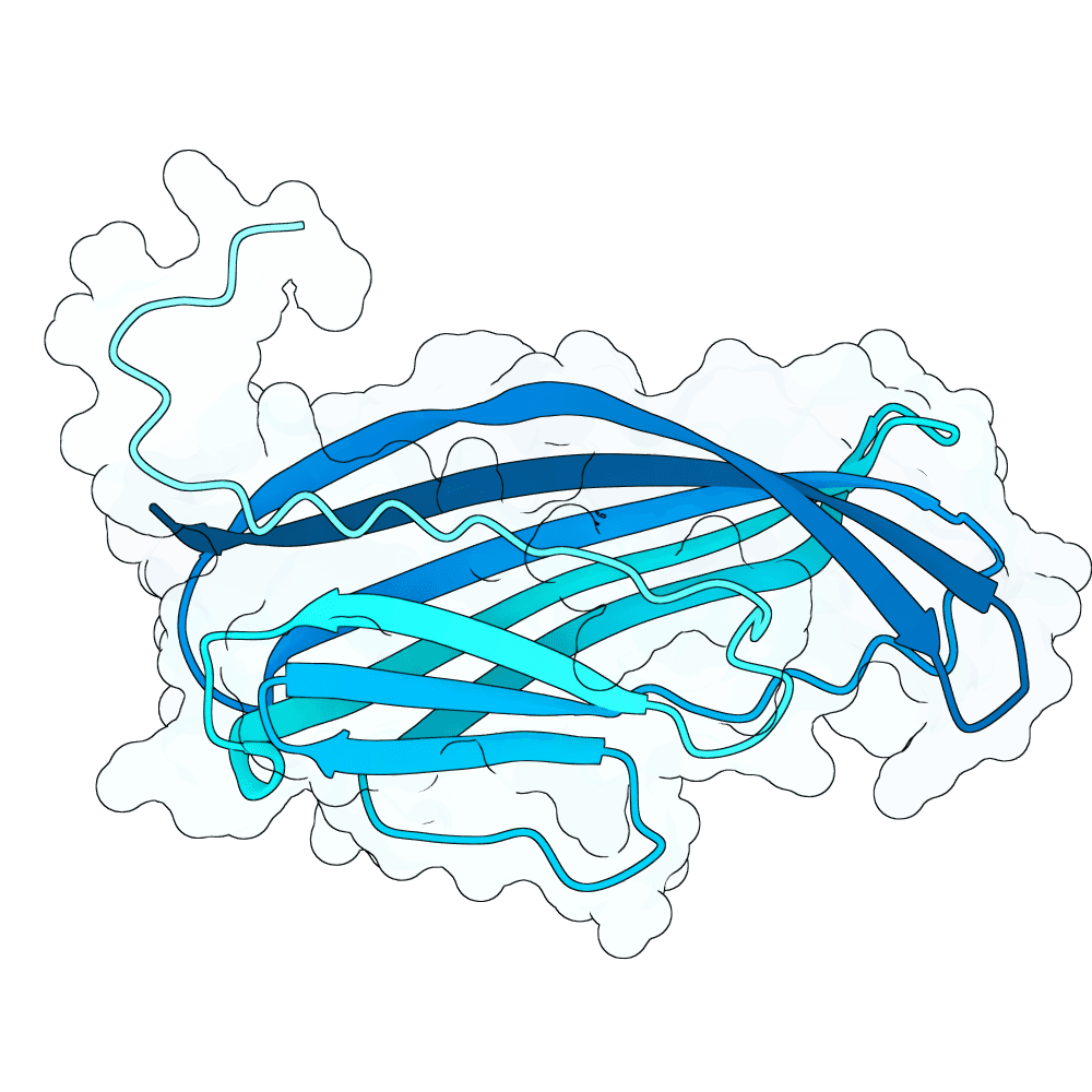 Protein preview silent-crow-iron