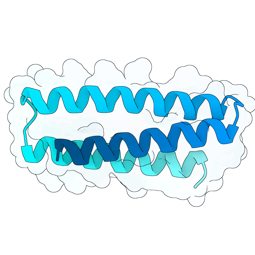 young-panther-cypress