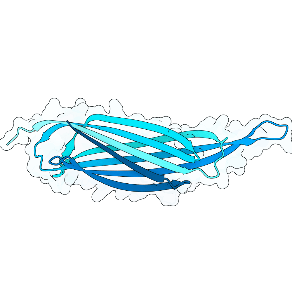 Protein preview amber-orca-onyx