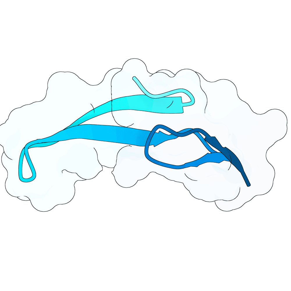 scarlet-deer-cypress