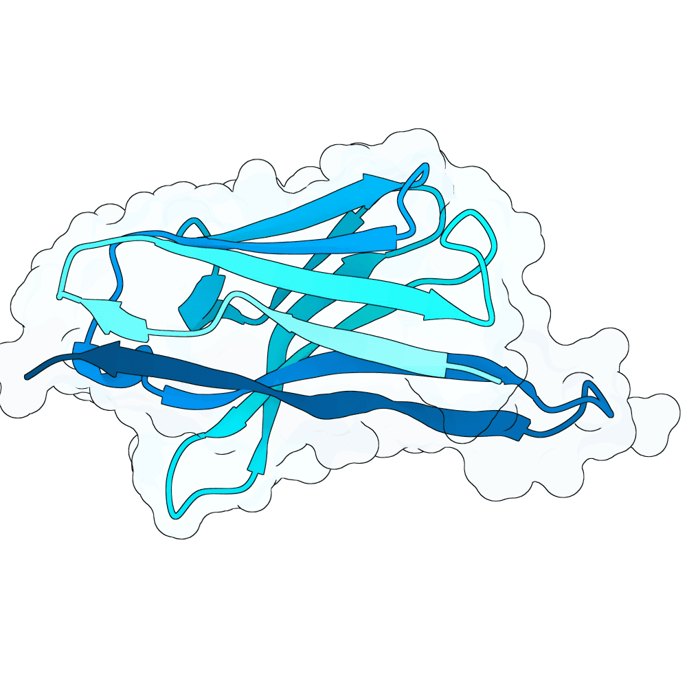 radiant-panther-orchid