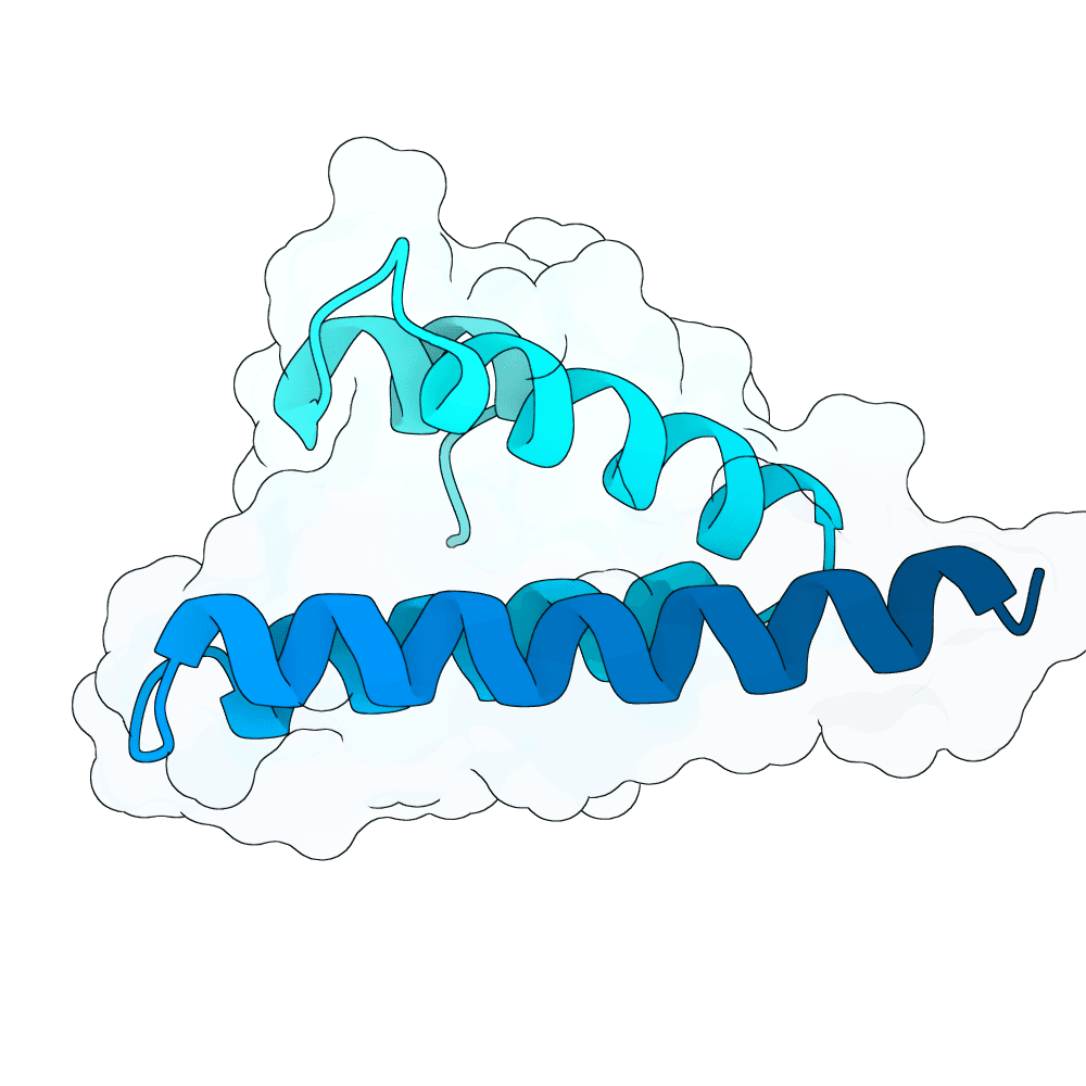 Protein preview silent-ibis-onyx