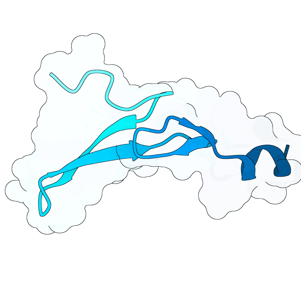 quiet-falcon-crystal