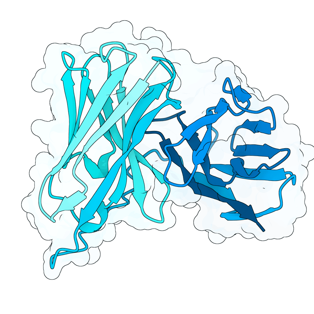 Adaptyv EGFR Competition Round 2 | Proteinbase