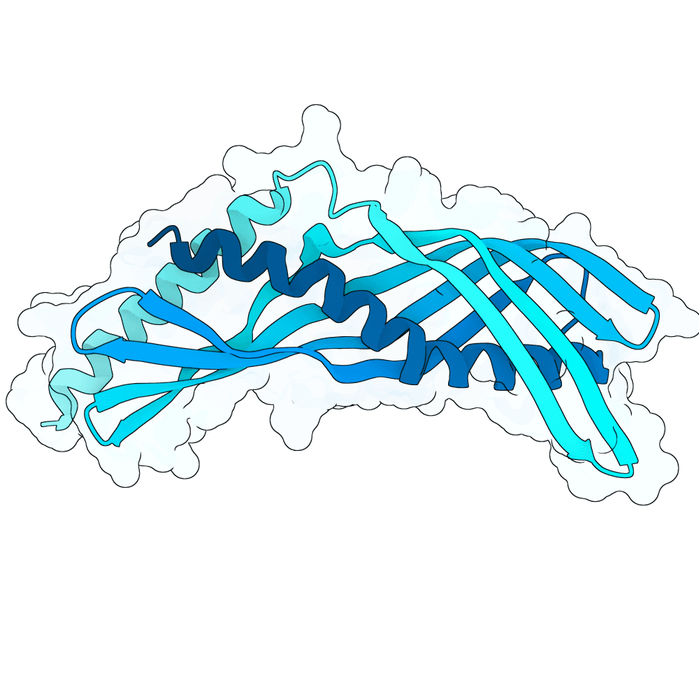 DERF7 structure preview