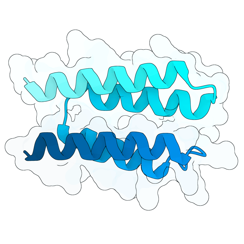 Protein preview silent-dove-maple