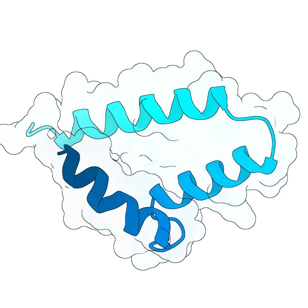 Protein preview brisk-bear-bronze