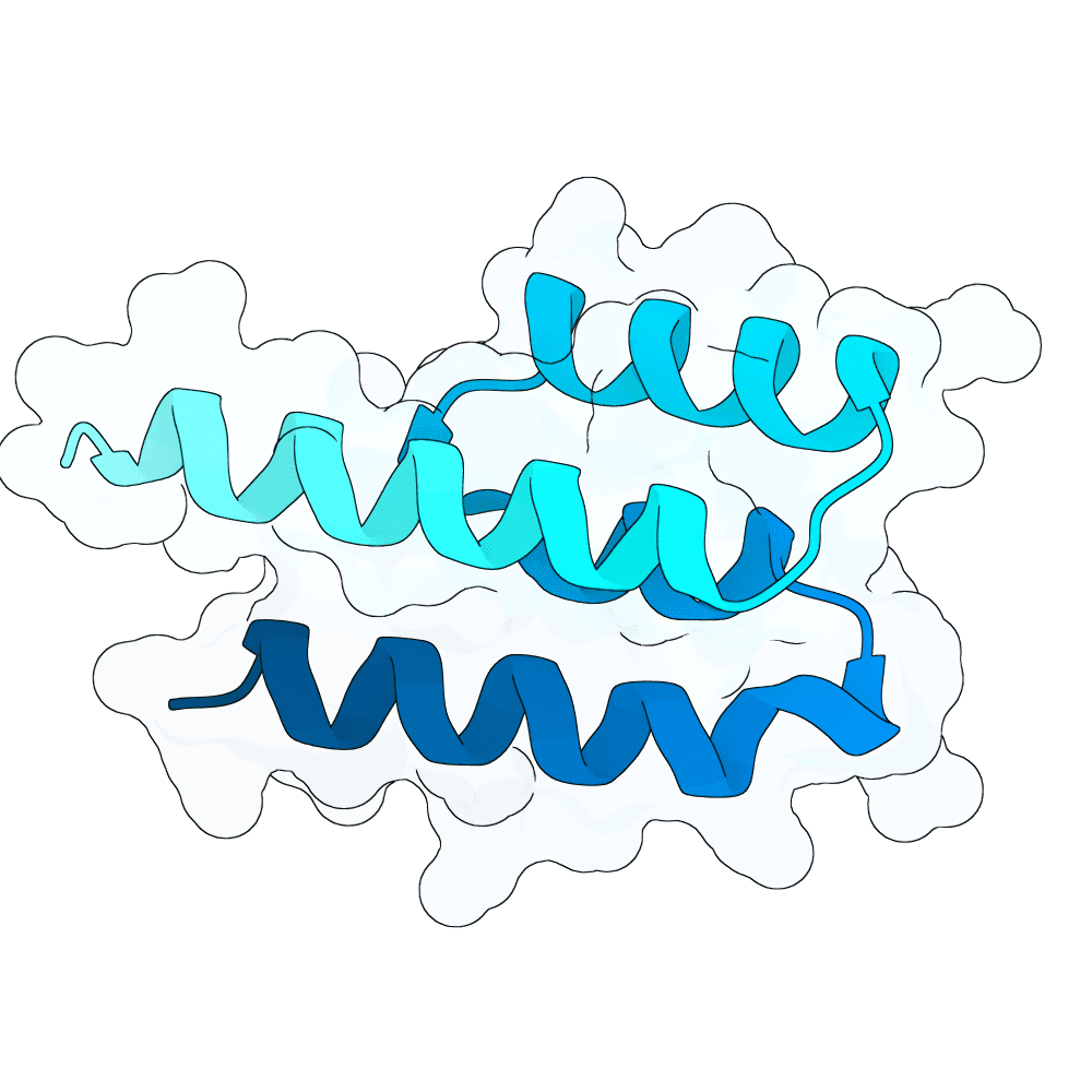 Protein preview mellow-fox-lava