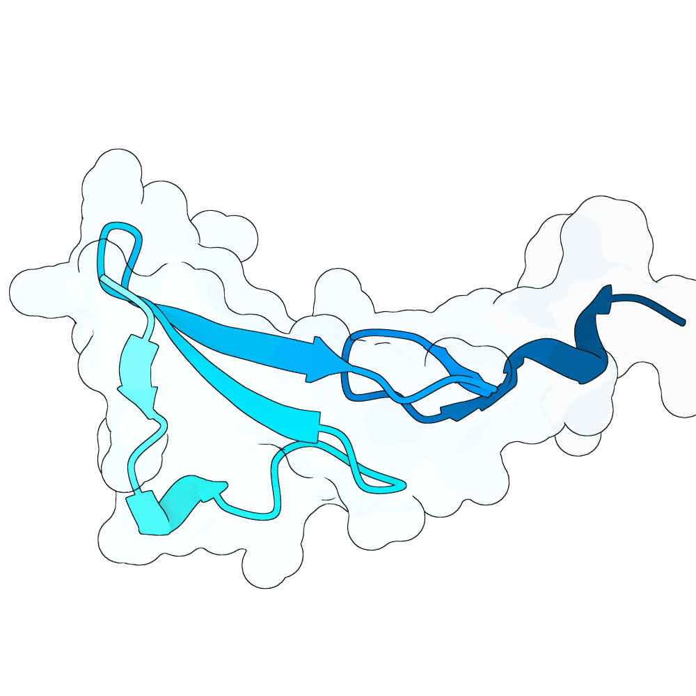 scarlet-wolf-cypress