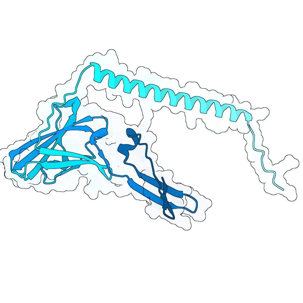 IFNAR2 structure preview