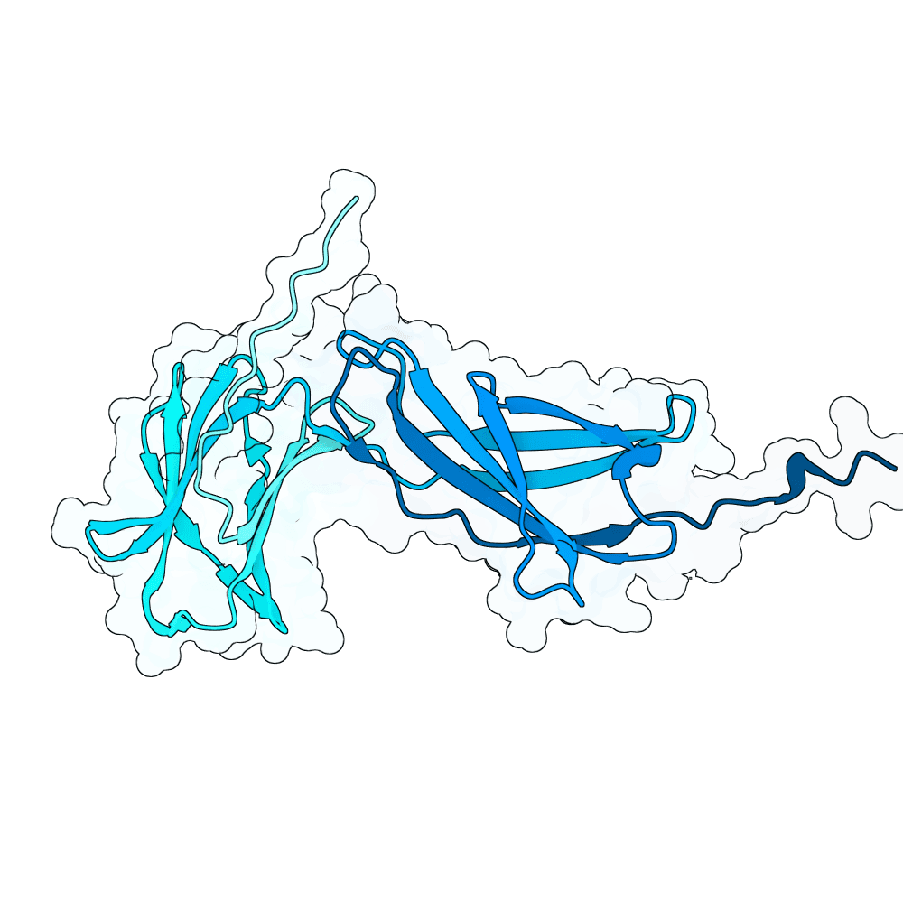 PD-L1 structure preview