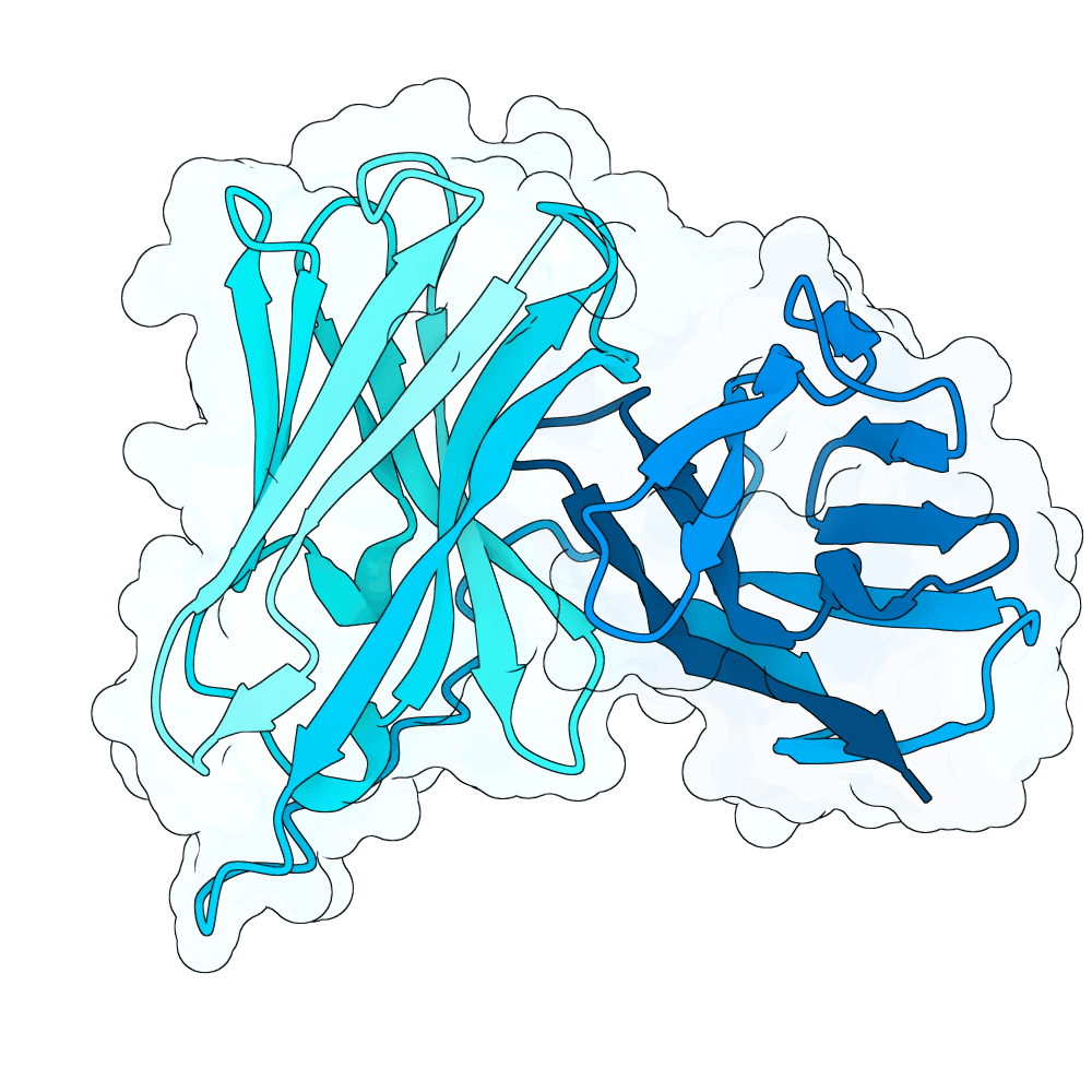 scarlet-seal-granite