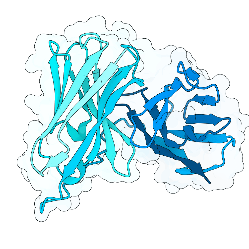 Protein preview green-boar-bronze