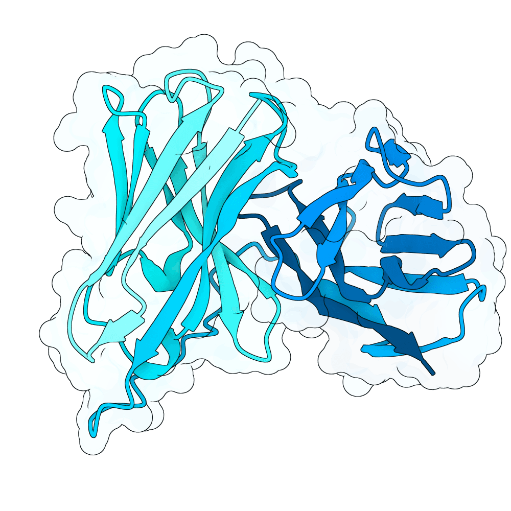 Protein preview silent-ibis-reed