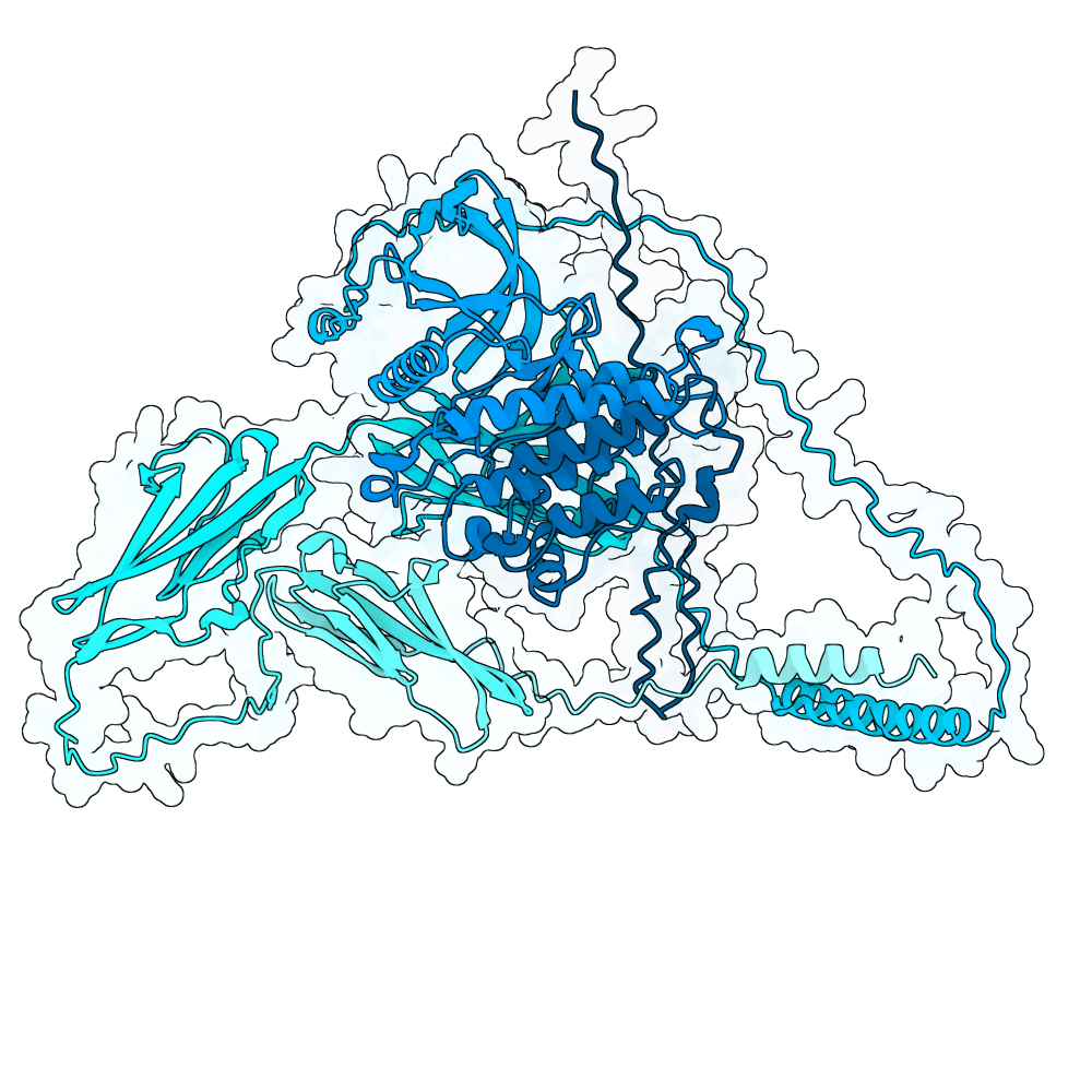 FGF R1 structure preview