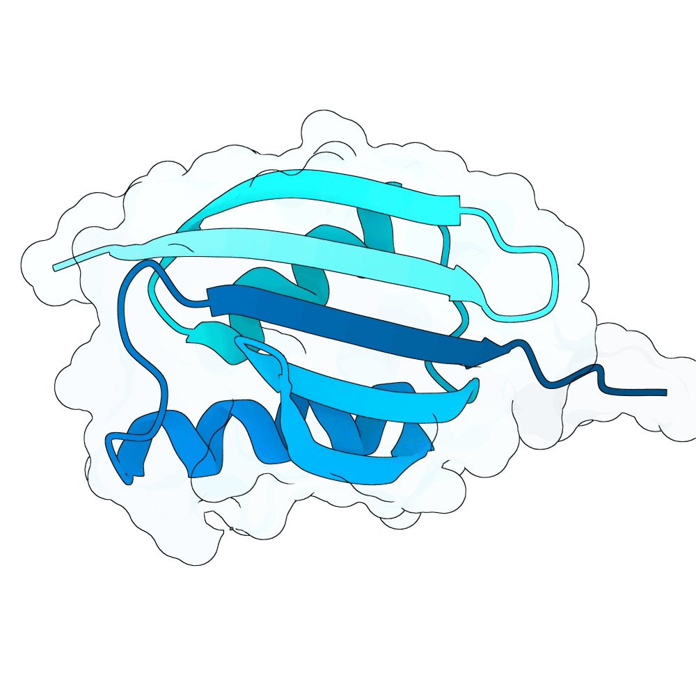 Protein preview hollow-falcon-pearl