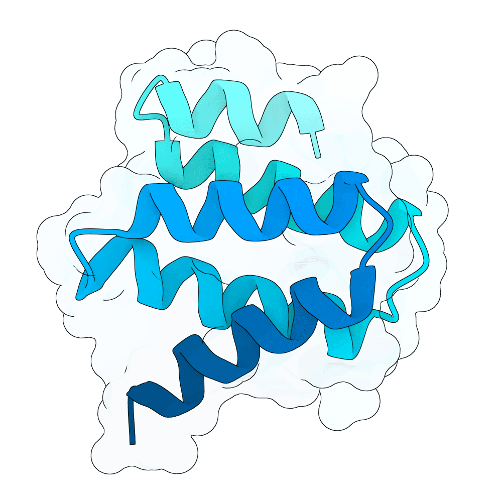 Protein preview jade-shark-clay