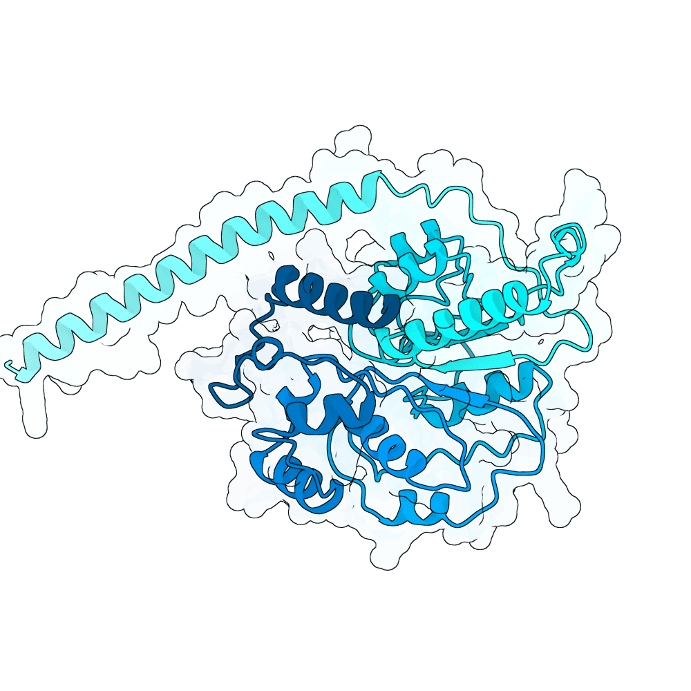 PHYH structure preview