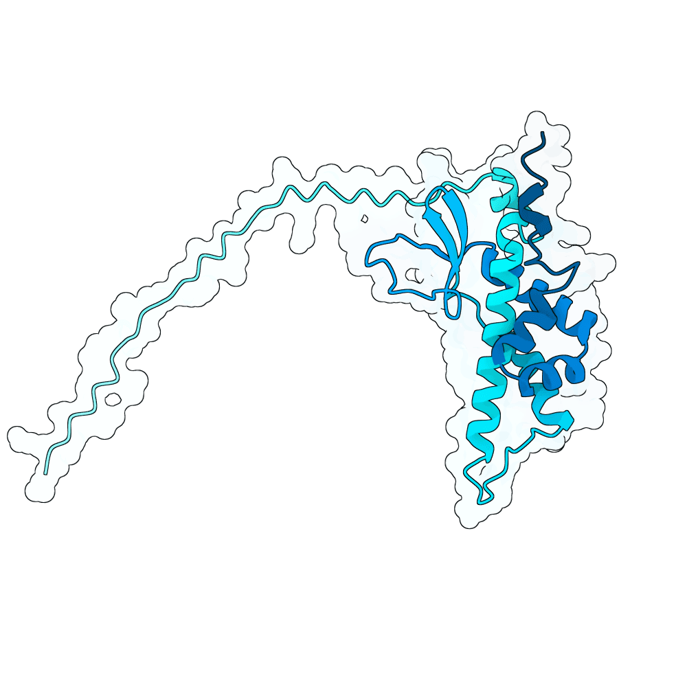 MZB1/PERP1 structure preview