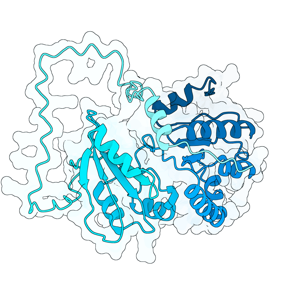 HNMT structure preview