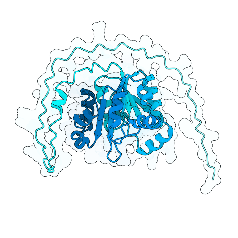 IDI2 structure preview