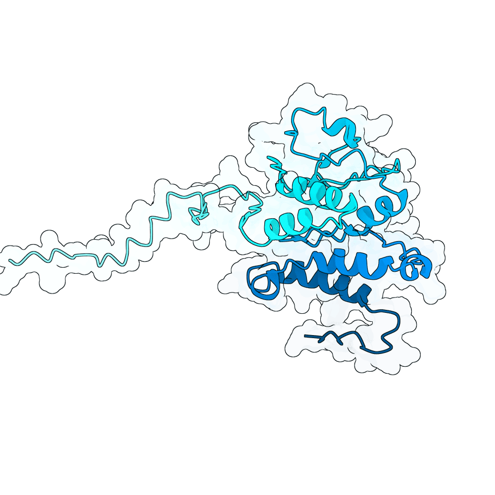 AMBP structure preview