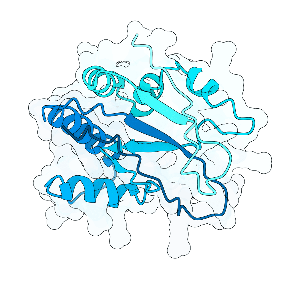 RFK structure preview