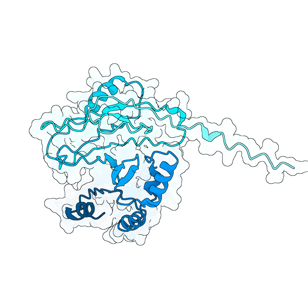 ORM2 structure preview