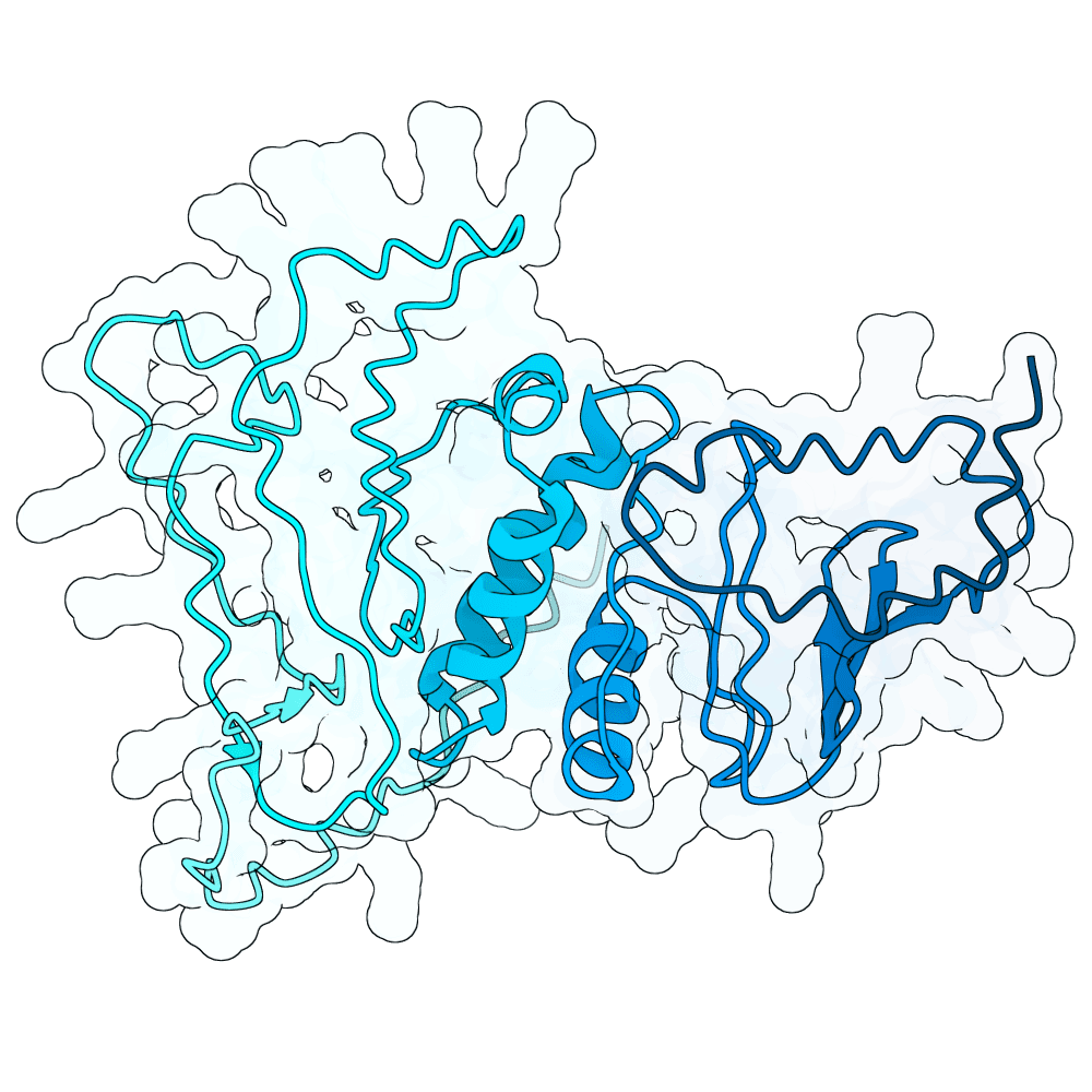 PMVK structure preview