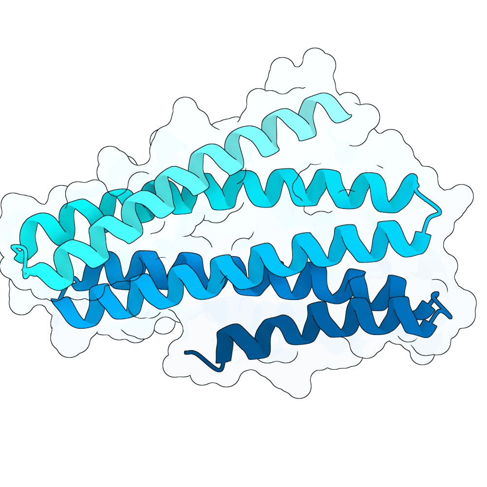 frozen-panther-cloud