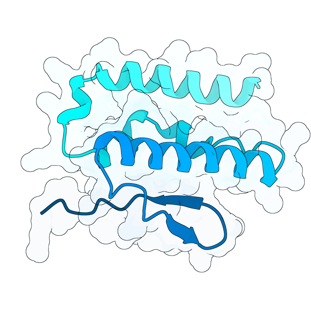 Protein preview rapid-toad-oak