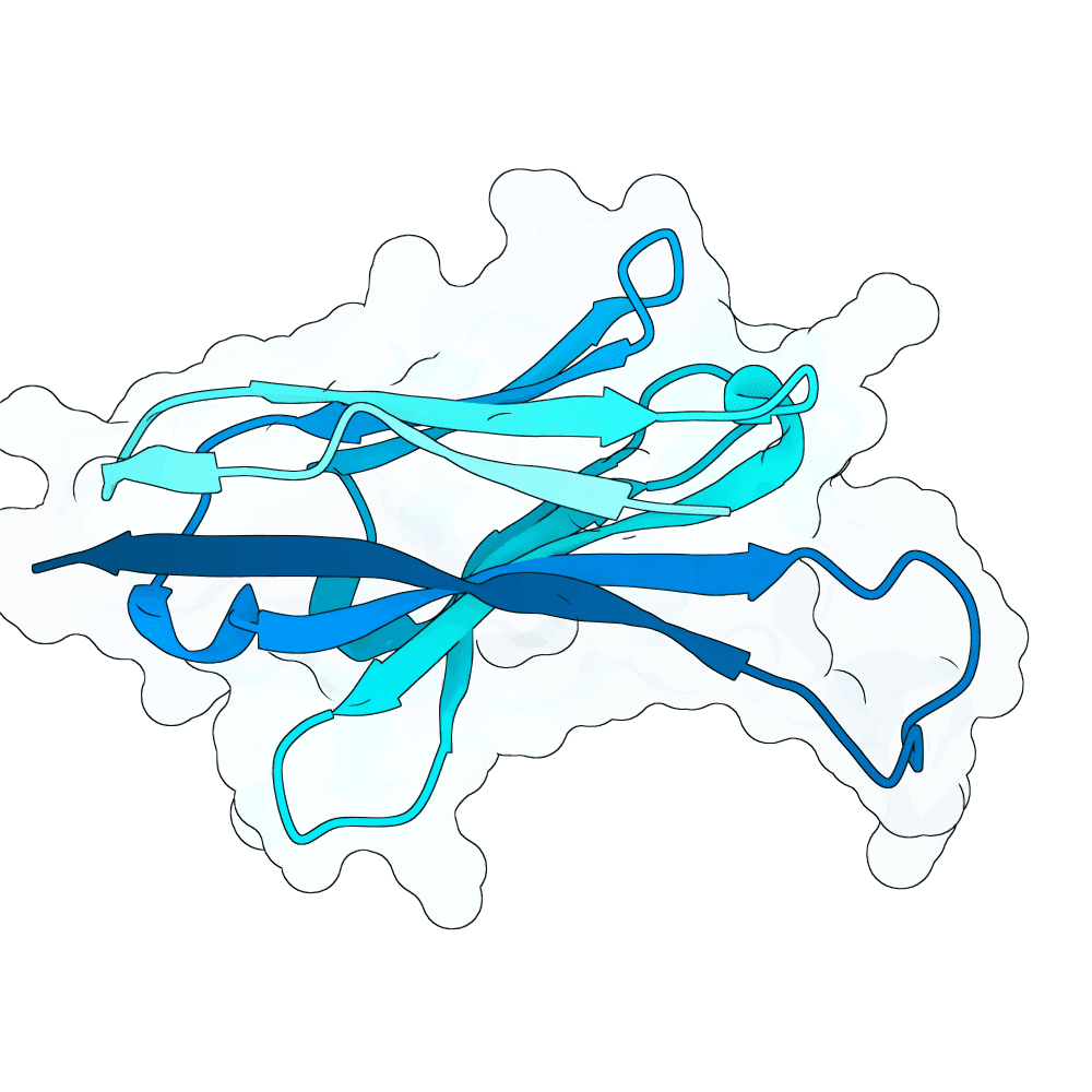 frozen-panther-quartz