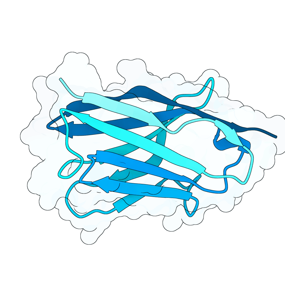 mellow-raven-granite