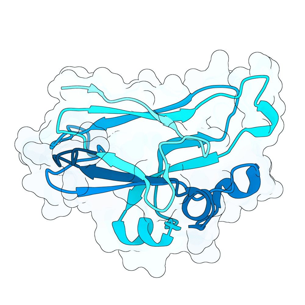 radiant-panther-flint