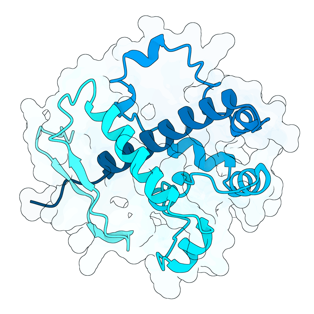 Protein preview strong-bat-ember