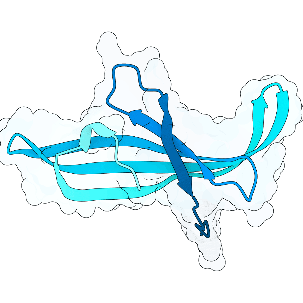 steady-jaguar-bronze