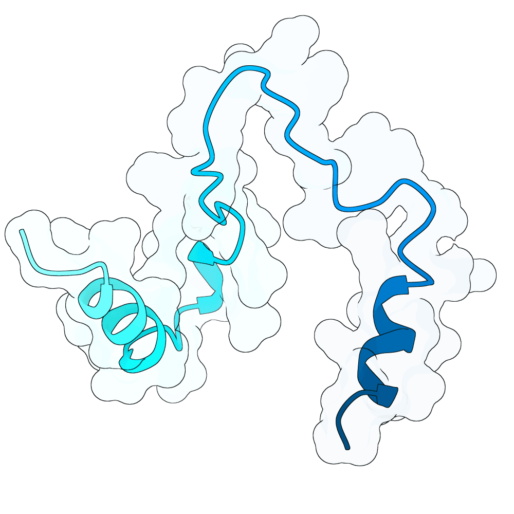 mellow-panther-orchid