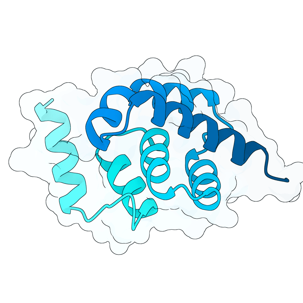 strong-tiger-crystal