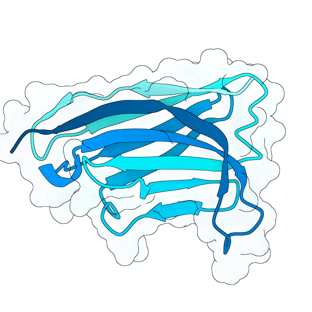 strong-panther-bronze