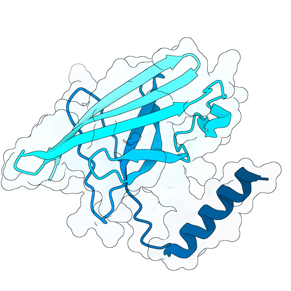 brisk-jaguar-cypress