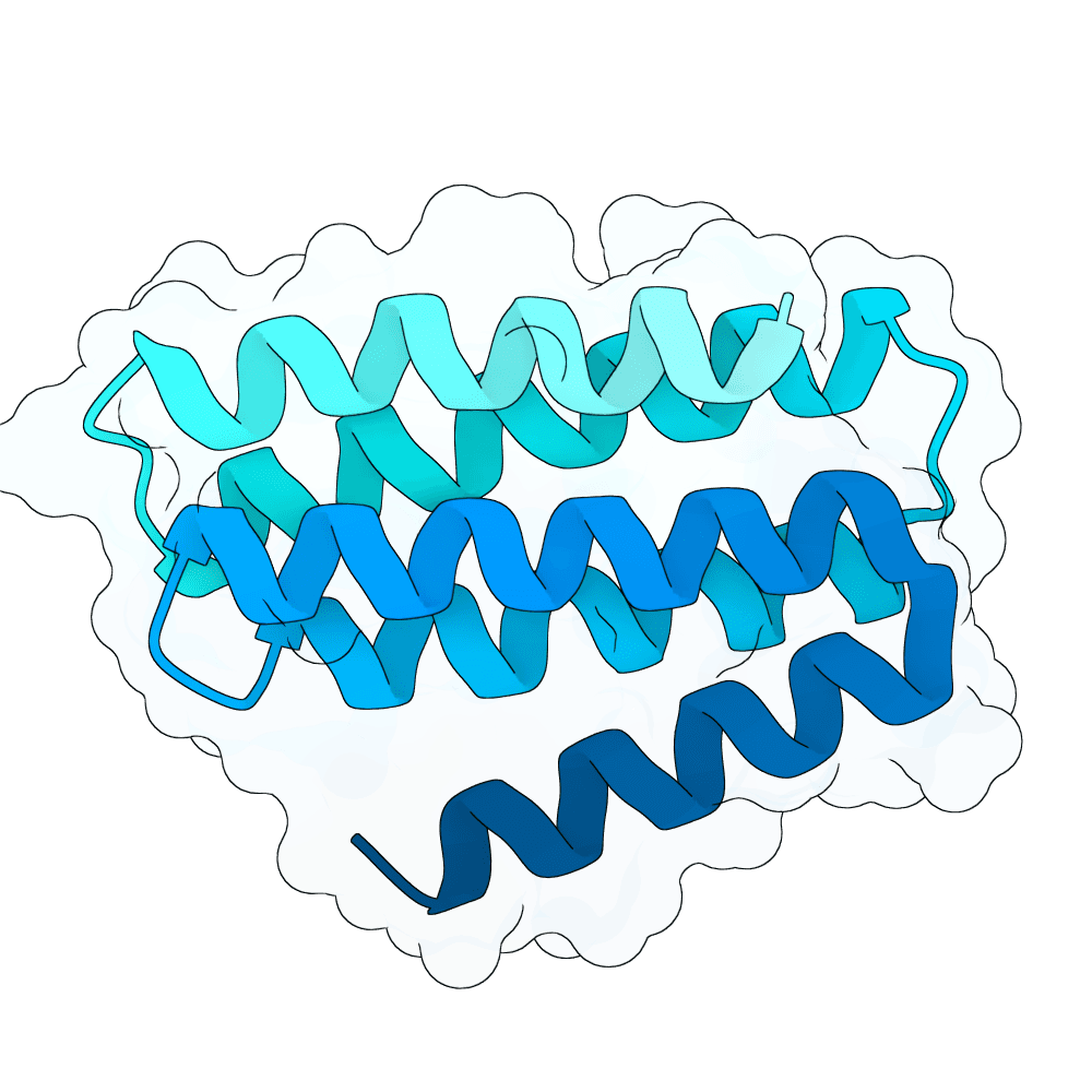 golden-otter-cypress