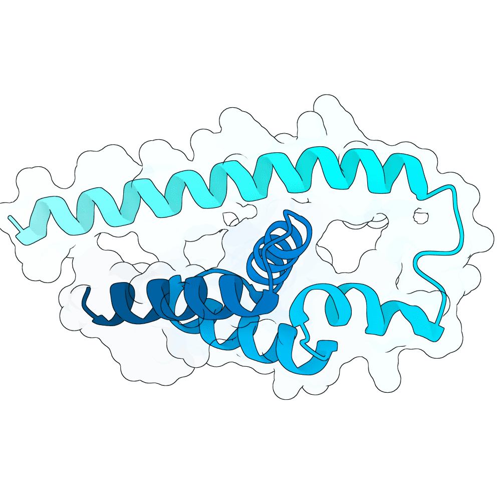 rough-panther-marble