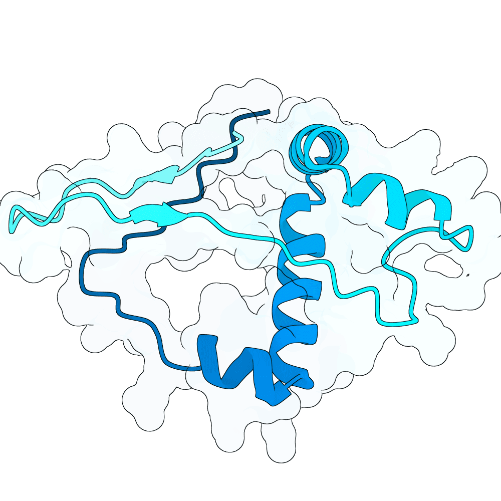 bright-panther-topaz